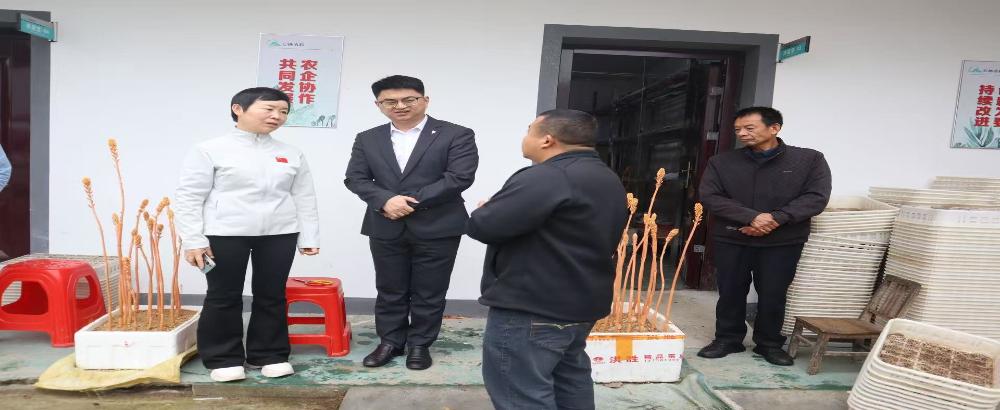 市公管局深入开展“访企入村”走访调研活动