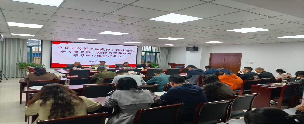 市公管局召开树立和践行正确政绩观学习教育第二期读书班暨理论学习中心组会议